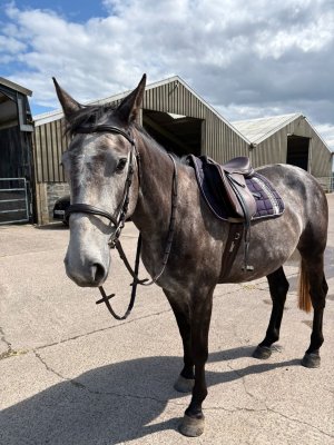 cd004710-dcb3-4913-b6d0-6fbe45de01f9.jpeg cd004710-dcb3-4913-b6d0-6fbe45de01f9.jpeg