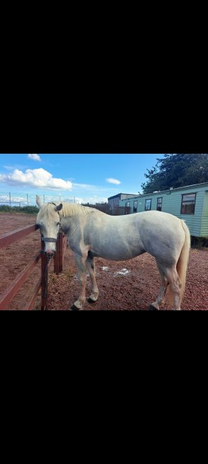 Screenshot_20250731_222224_Gallery.jpg Screenshot_20250731_222224_Gallery.jpg