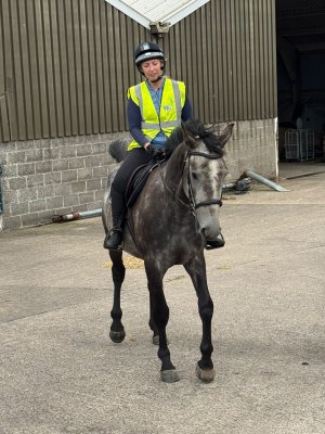 be2de4c4-ecf6-413d-b639-a6e1a5cf41c9.jpeg be2de4c4-ecf6-413d-b639-a6e1a5cf41c9.jpeg