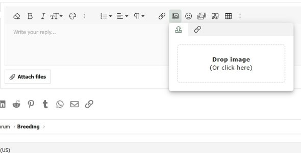 Screenshot 2025-08-02 104139.jpg
