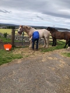 1754139109620.jpeg 1754139109620.jpeg