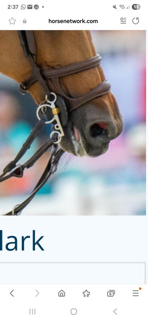 Screenshot_20250802_143702_Samsung Internet.jpg