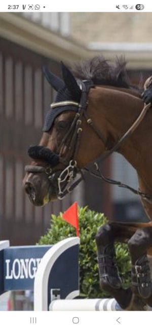 Screenshot_20250802_143735_Samsung Internet.jpg