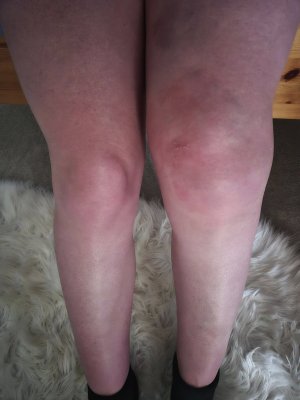 513165627_10230236758166882_3565430714498308320_n (2).jpg