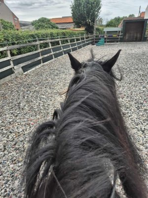 523475244_2171367463345928_1081807368136121597_n (1).jpg