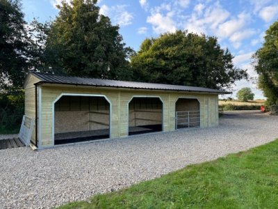 IMG_2413.jpeg IMG_2413.jpeg