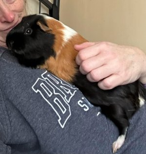 IMG_2254.jpeg IMG_2254.jpeg