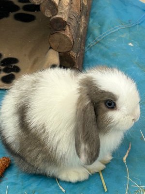 IMG_2324.jpeg IMG_2324.jpeg