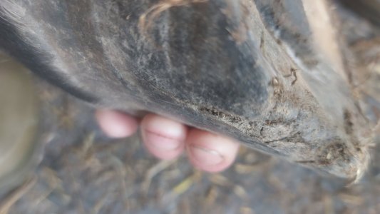 1000025284.jpg 1000025284.jpg