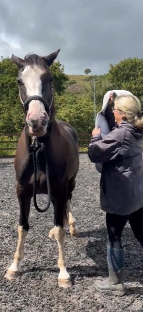 C588514E-49A6-4789-A1E8-EC19FED5B53F.jpeg C588514E-49A6-4789-A1E8-EC19FED5B53F.jpeg