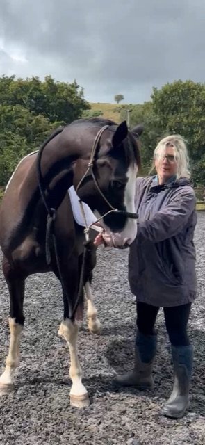 1F71C5E7-1BF8-460C-87D6-DFC9C293D261.jpeg 1F71C5E7-1BF8-460C-87D6-DFC9C293D261.jpeg