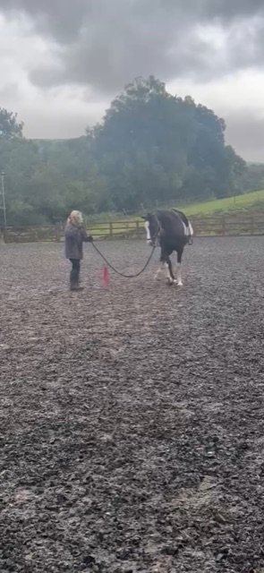 894130C1-2849-4259-A809-53431B8C7F2F.jpeg 894130C1-2849-4259-A809-53431B8C7F2F.jpeg