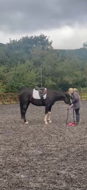 E616031F-7DF4-488D-8B33-EF55C825ECA5.jpeg E616031F-7DF4-488D-8B33-EF55C825ECA5.jpeg