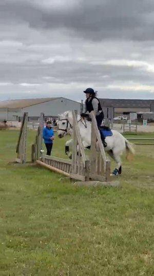 VID-20250802-WA0010_exported_2583.jpg VID-20250802-WA0010_exported_2583.jpg