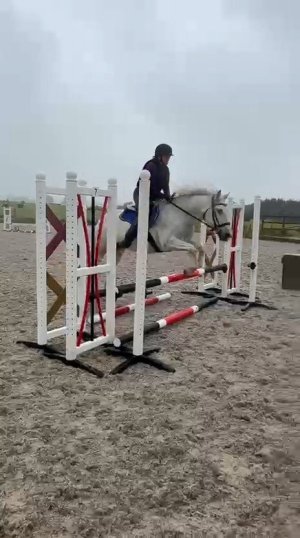 VID-20250803-WA0016_exported_26146.jpg VID-20250803-WA0016_exported_26146.jpg