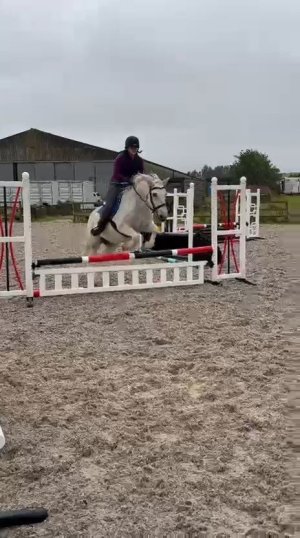 VID-20250803-WA0013_exported_650.jpg VID-20250803-WA0013_exported_650.jpg