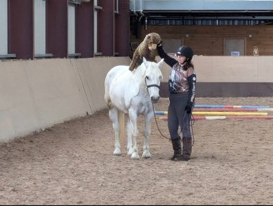 Screenshot_20250806_111155_Photos.jpg Screenshot_20250806_111155_Photos.jpg