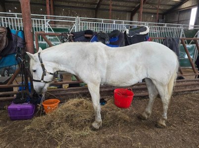 Screenshot_20250806_111458_Photos.jpg Screenshot_20250806_111458_Photos.jpg