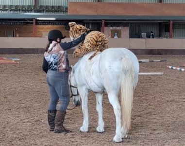 PXL_20250803_104803863_exported_2566.jpg PXL_20250803_104803863_exported_2566.jpg