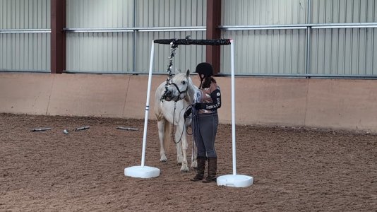 PXL_20250803_105244733_exported_5333.jpg PXL_20250803_105244733_exported_5333.jpg