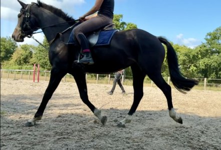 IMG_8778.jpeg IMG_8778.jpeg