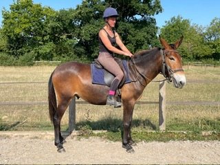 668bd4d7-9ede-4d28-b39c-8769225d352a.jpeg 668bd4d7-9ede-4d28-b39c-8769225d352a.jpeg