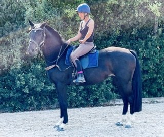 9e43c8d3-8478-41f5-829b-3eb25f2d8b1d.jpeg 9e43c8d3-8478-41f5-829b-3eb25f2d8b1d.jpeg