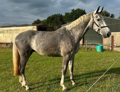 processed-6ACCD6B5-0A8E-4ABD-B8A4-388100D02D25.jpeg processed-6ACCD6B5-0A8E-4ABD-B8A4-388100D02D25.jpeg