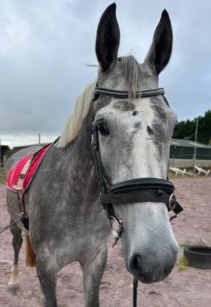 processed-6886B750-8D76-4881-9965-7FC8D34BE34E.jpeg processed-6886B750-8D76-4881-9965-7FC8D34BE34E.jpeg