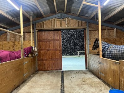 IMG_6397.jpeg IMG_6397.jpeg