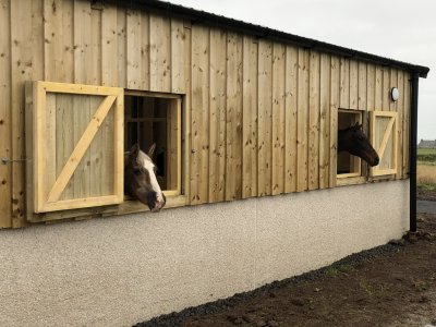 IMG_5085.jpeg IMG_5085.jpeg