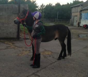 1754695897955.png 1754695897955.png