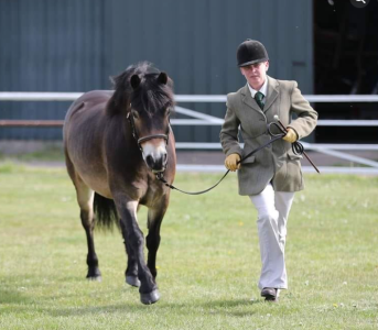 1754695982962.png 1754695982962.png