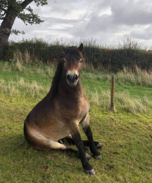 1754696024271.png 1754696024271.png