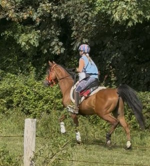 IMG_9252.jpeg IMG_9252.jpeg