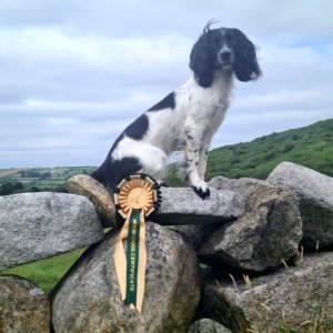 20250802_142708.jpg 20250802_142708.jpg