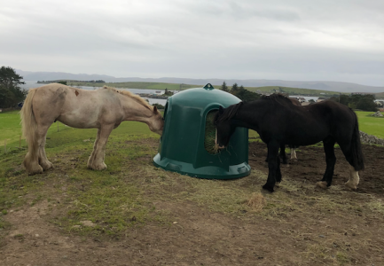 1754847831641.png 1754847831641.png