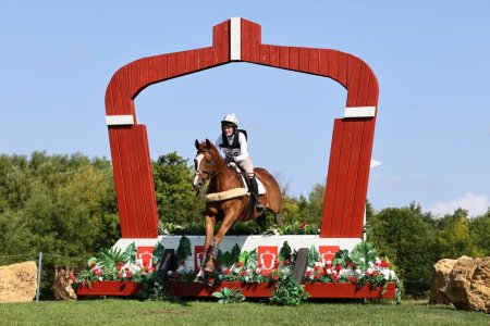 1000012383 (1).jpg 1000012383 (1).jpg