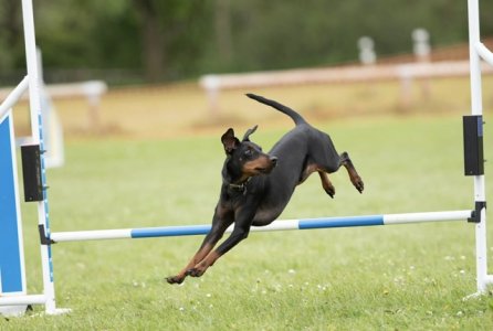 IMG_3149.jpeg IMG_3149.jpeg