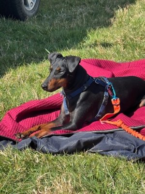 IMG_2889.jpeg IMG_2889.jpeg