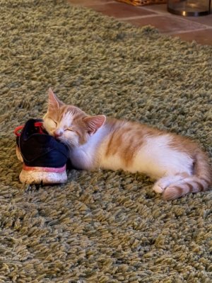 IMG_2307.jpeg IMG_2307.jpeg