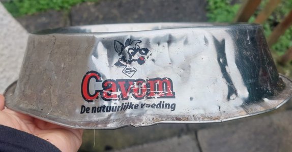 IMG-20240312-WA0002~2.jpg IMG-20240312-WA0002~2.jpg