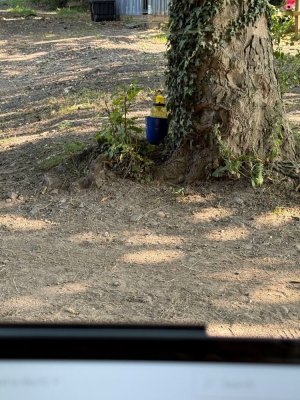 IMG_3046.jpg IMG_3046.jpg