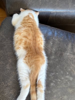 IMG_2348.jpeg IMG_2348.jpeg