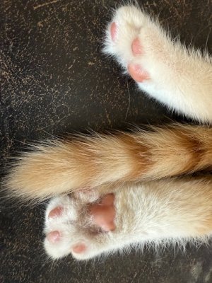 IMG_2349.jpeg IMG_2349.jpeg