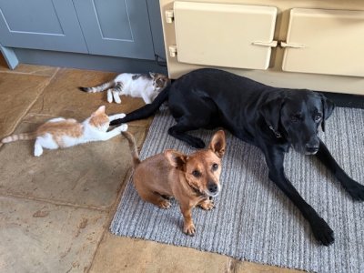 IMG_2355.jpeg IMG_2355.jpeg