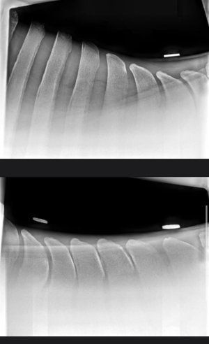 WhatsApp Image 2025-08-13 at 09.44.11.jpeg