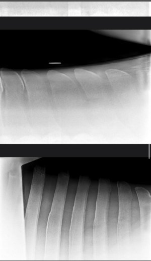 WhatsApp Image 2025-08-13 at 09.44.13.jpeg