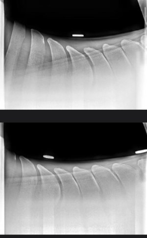 WhatsApp Image 2025-08-13 at 09.44.20.jpeg