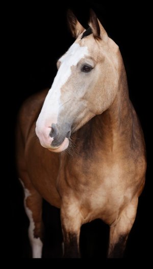 Screenshot_20250814-110448~2.jpg Screenshot_20250814-110448~2.jpg